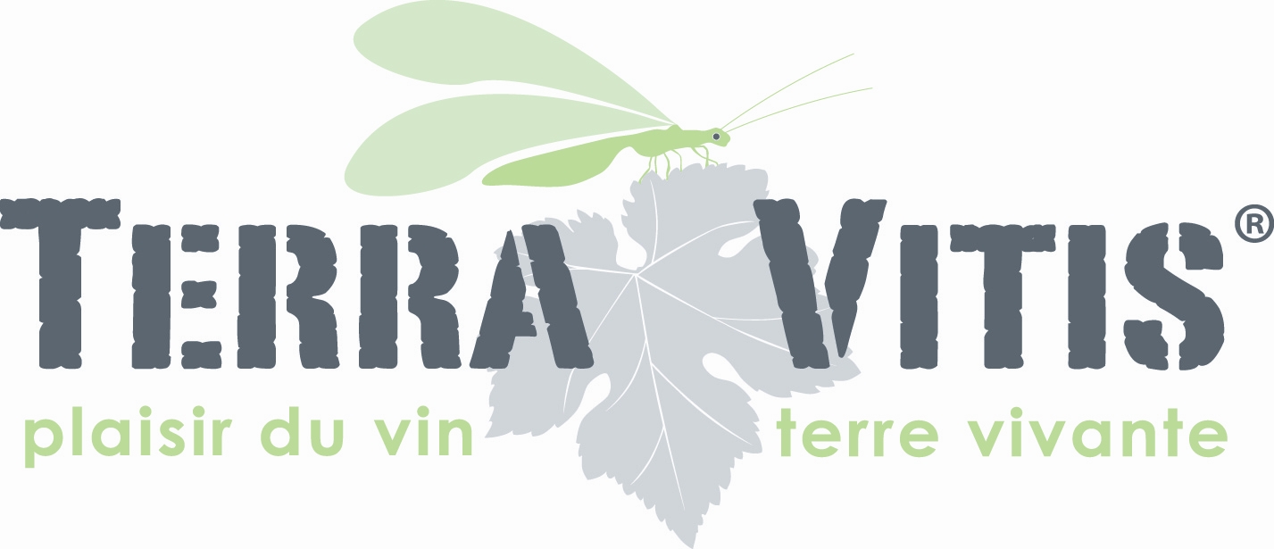 terra vitis