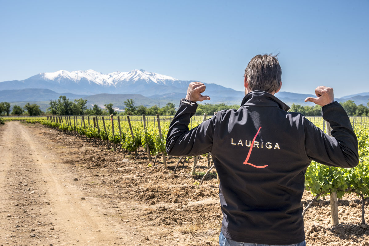 vin du roussillon chateau lauriga perpignan