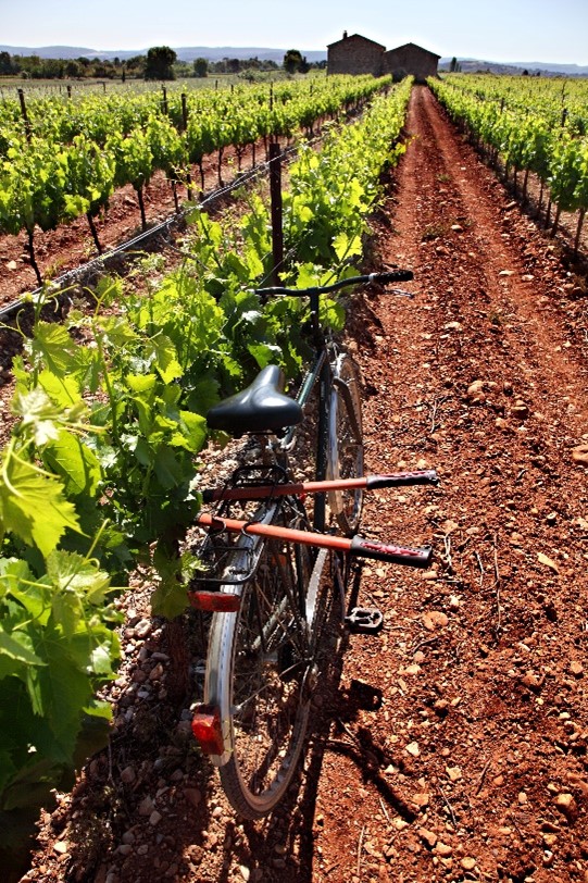 Domaines des Crès Ricards