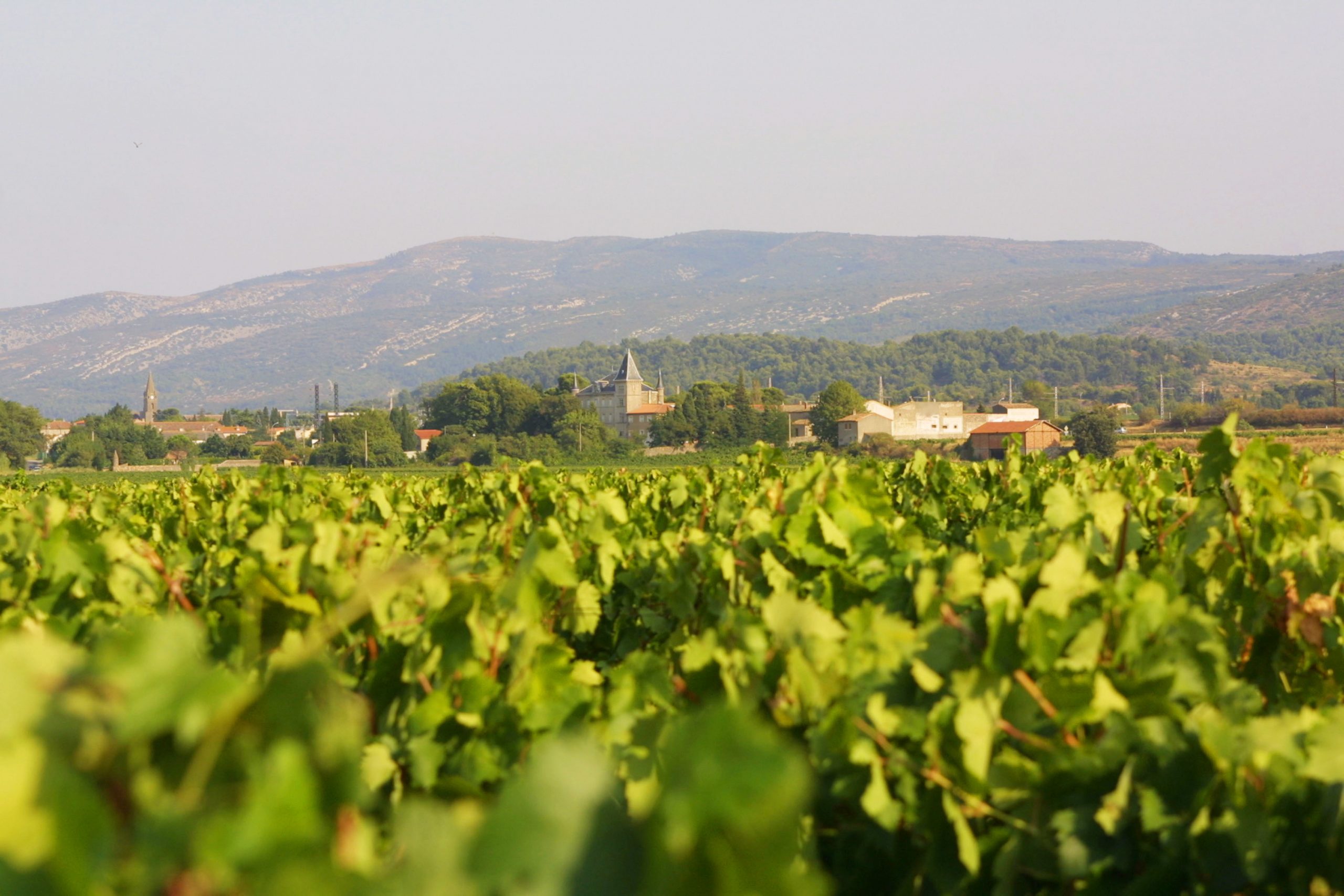 Coté Mas Domaine Paul Mas