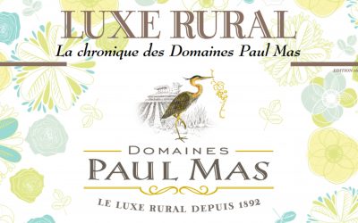 LUXE RURAL – La chronique des Domaines Paul Mas – Edition 16