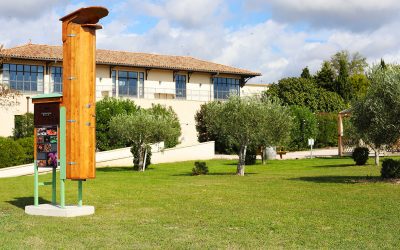 Des ruches dans le vignoble