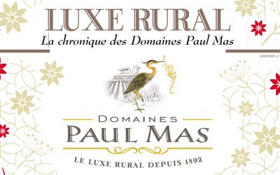 LUXE RURAL – La chroniques des Domaines Paul Mas – Edition 17