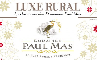 LUXE RURAL – La chronique des Domaines Paul Mas – Edition 17