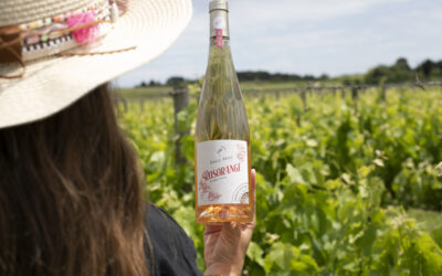 Rosorange 2023: Innovation in the service of pleasure
