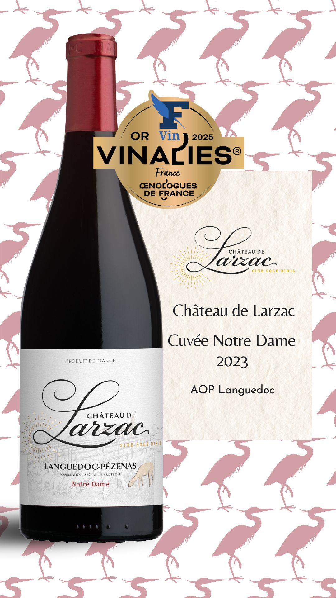  Vinalies FR larzac-Notre dame-202_-AOP languedoc