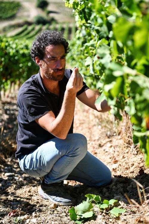 Clos de Maro