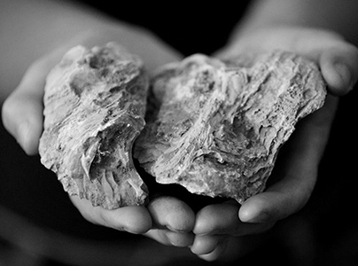 Château Paul Mas Terroir