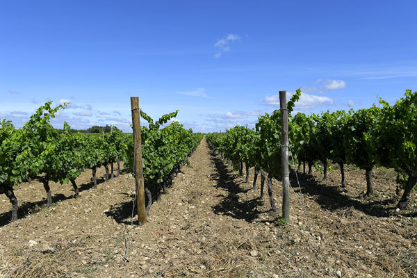 Domaine-du-Silène