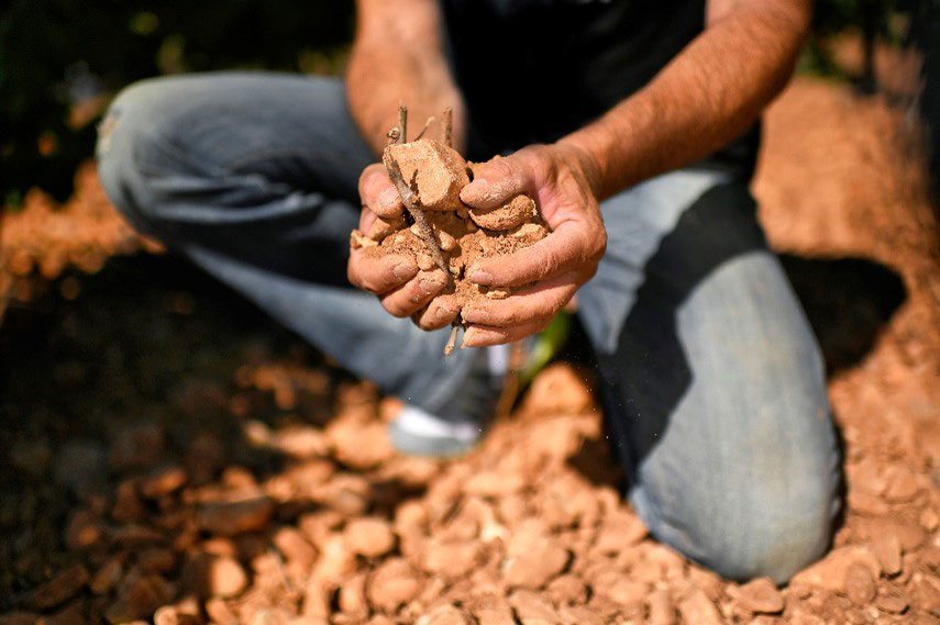 Terroir-Terrasses-du-Larzac-Chateau-Des-Crès-Ricards