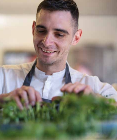 RAPPORT MILLÉSIME 2024 _DOMAINES PAUL MAS_VENDANGES 1