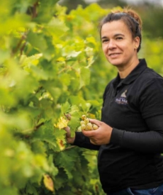 RAPPORT MILLÉSIME 2024 _DOMAINES PAUL MAS_VENDANGES 1