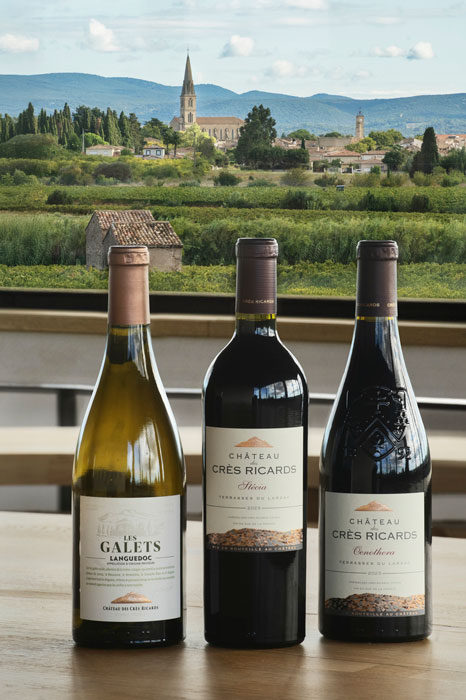 RAPPORT MILLÉSIME 2024 _DOMAINES PAUL MAS_VENDANGES 1