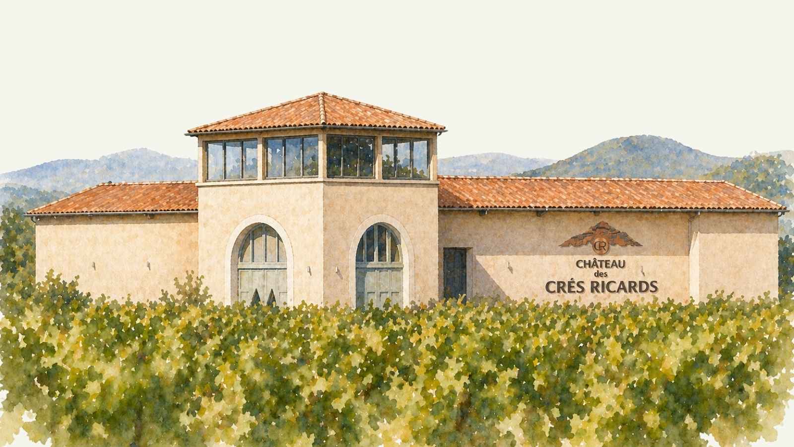 RAPPORT MILLÉSIME 2024 _DOMAINES PAUL MAS_VENDANGES 1